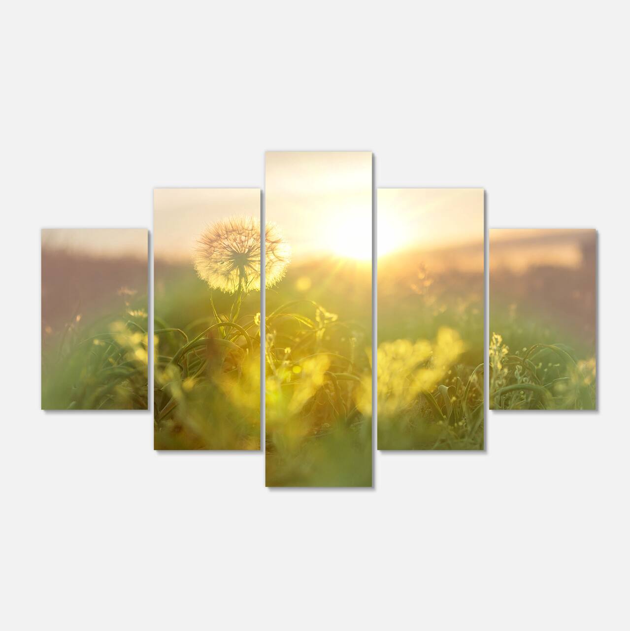 Designart - Dandelion Blooming Flower in Field - Floral Canvas Art Print